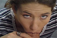 Kijk naar het vogeltje